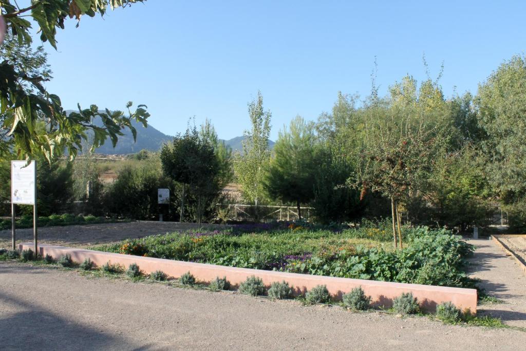 Centro De Agroecologia Y Medio Ambiente De Murcia Bullas Rom bilde