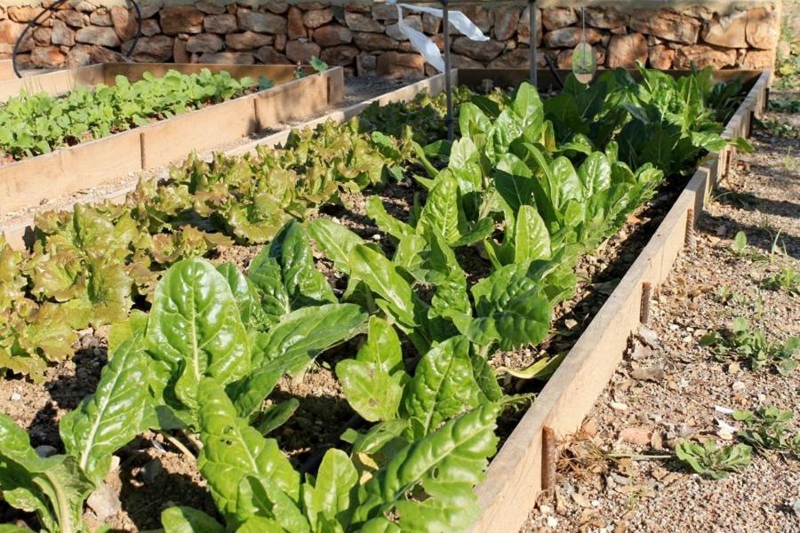 Centro De Agroecologia Y Medio Ambiente De Murcia Bullas Eksteriør bilde