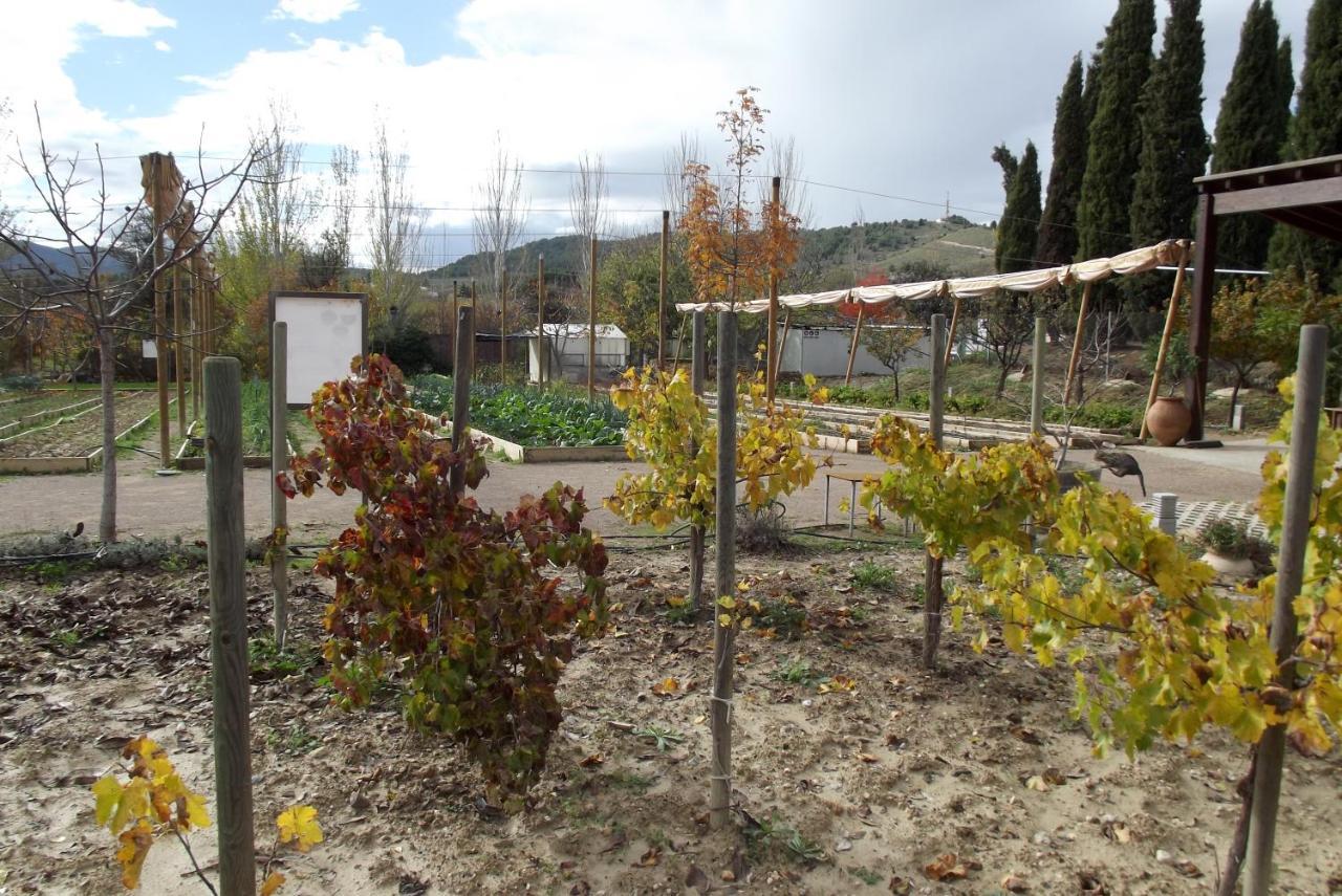 Centro De Agroecologia Y Medio Ambiente De Murcia Bullas Eksteriør bilde