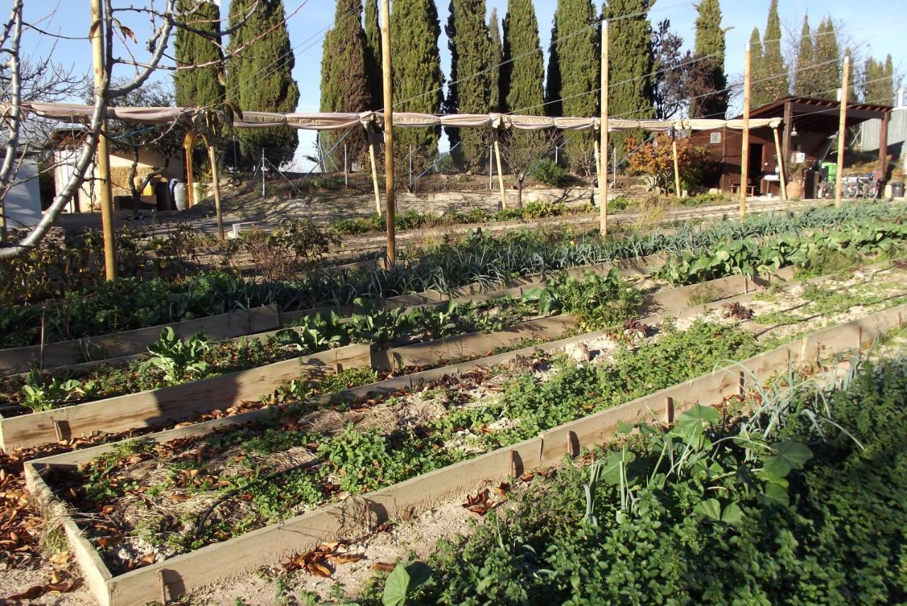Centro De Agroecologia Y Medio Ambiente De Murcia Bullas Eksteriør bilde